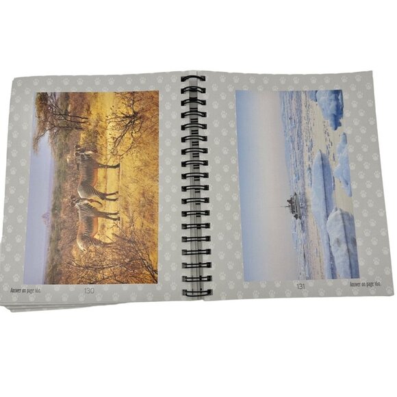 Brain Games Picture Puzzle Find the Cat Spiral Book - Picture 5 of 8